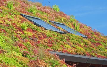 Stanton By Bridge living roof systems